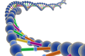 the genomic revolution