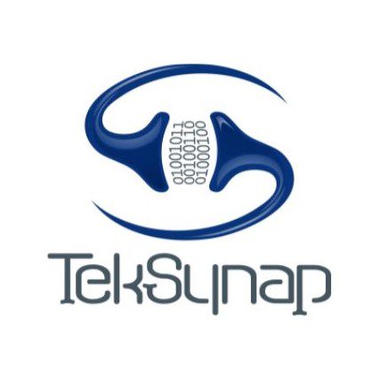 Logo featuring stylized blue shapes and the text 'TekSynap'.